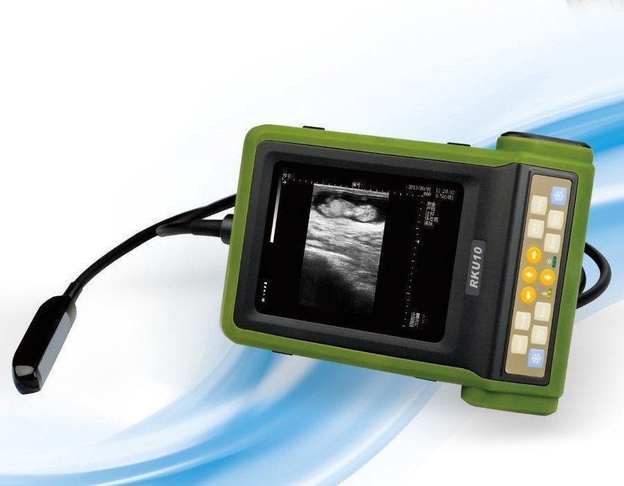Full Digital Veterinary Ultrasound Machine Model RKU10