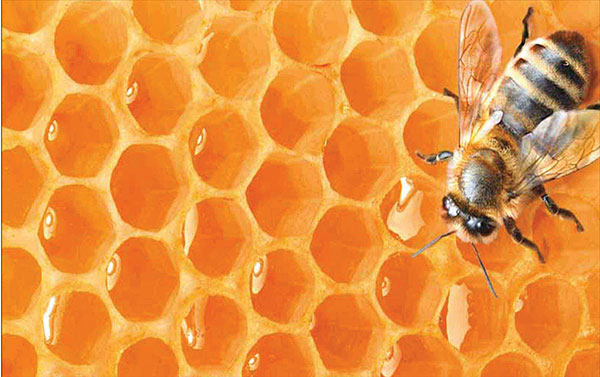 آبکاری مس Copper plating