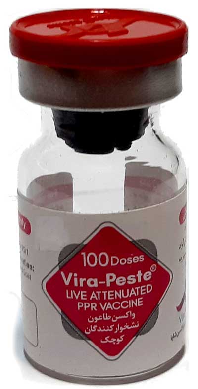 واکسن طاعون نشخوارکنندگان کوچک (PPR)