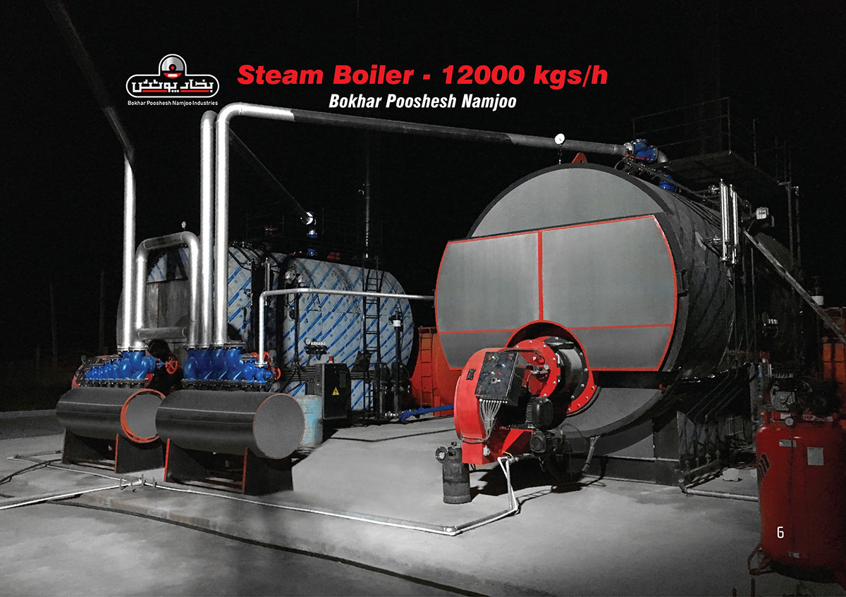Boiler 12 tons