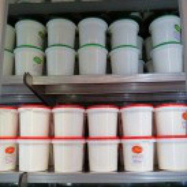 ماست چکیده ساده