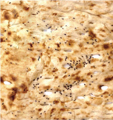 Flour for traditional and industrial breads (Khabazi)