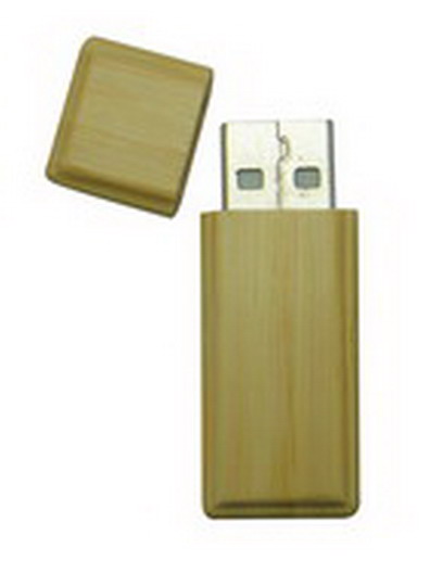 USB Flash Drive
