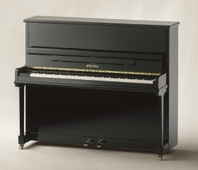 Used Instruments Model 118 Tradition, schwarz poliert 