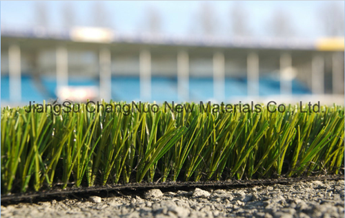 Landscape Artificial Grass