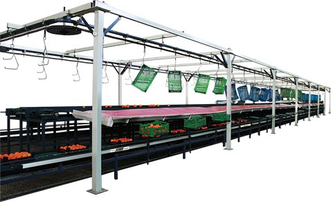 Fruit packing machine