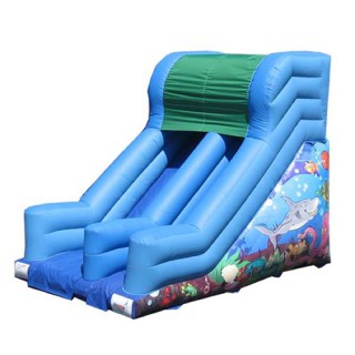 New Inflatable Bounce Playground with Slide (C1281-3)