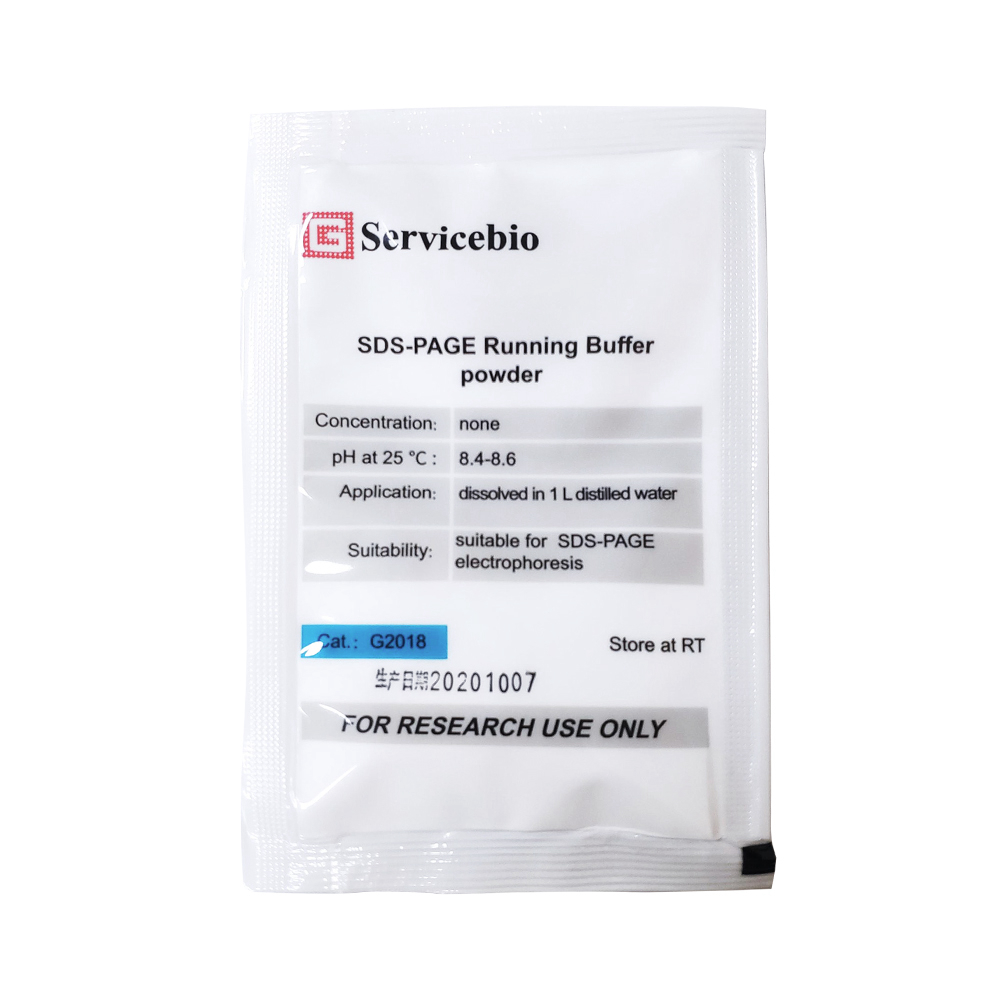 SDS-PAGE Running Buffer Powder