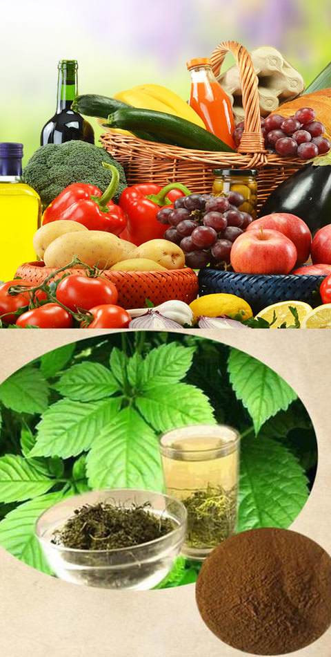 عصاره گیاهی