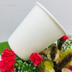 100% Biodegradable Disposable PLA Coated Coffee Paper Cups