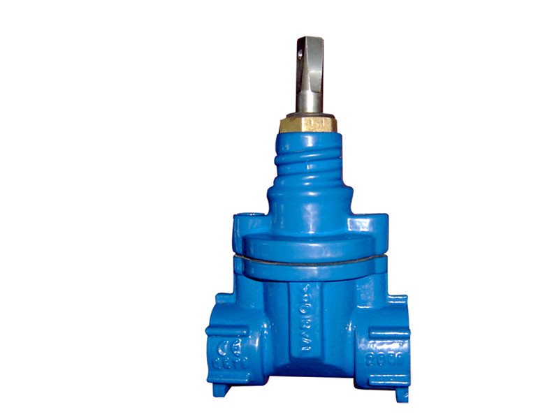 Fig.1007 F/F Screwed ENDS GATE VALVE
