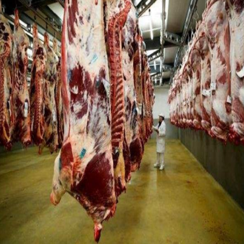 خط تولید گوشت گاو