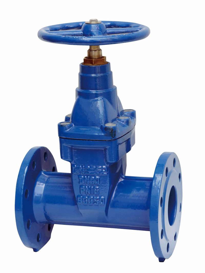 Fig. 1013 DIN3352-F5 NRS