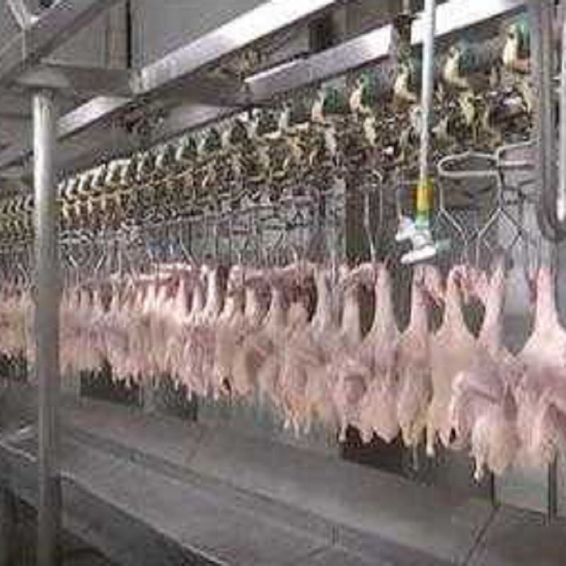 خط تولید کنجاله اردک و روغن اردک