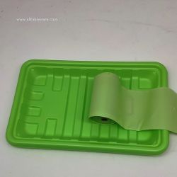 Biodegradable Food Fancy Trays PLA Party Trays Wholesale