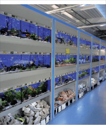 واحدهای آکواریوم