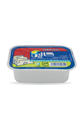 پنیر سفید پروسس ۲۵۰ گرم