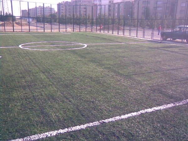 چمن مصنوعی شهید گودرزی