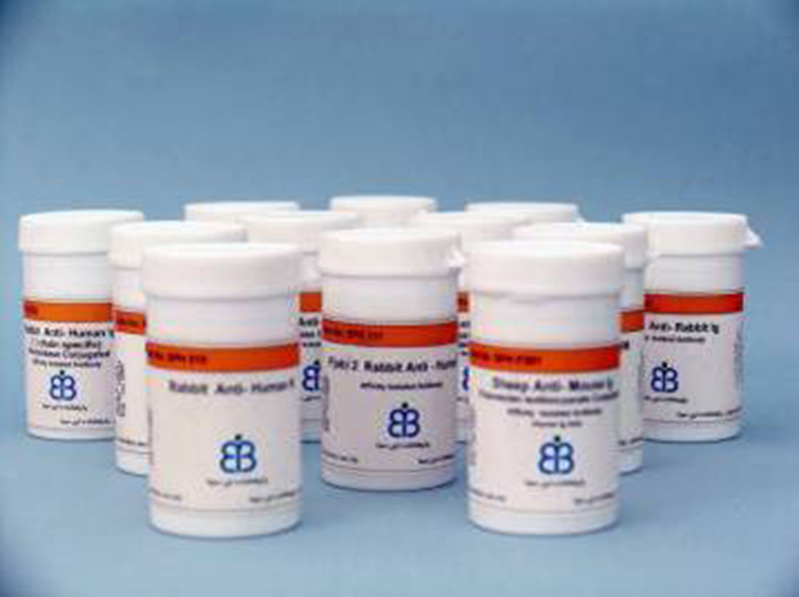 انتی بادی های تک دودمانی