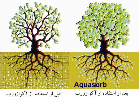 آکوازورب