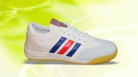 سالنی سوپر تاجر