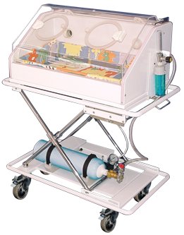 Model portable incubator 120
