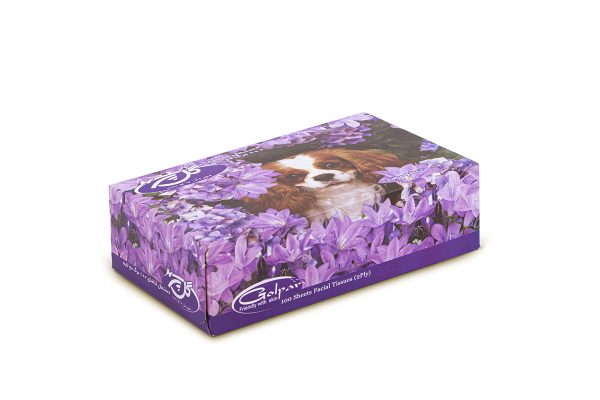 دستمال اتومبیلی ۱۰۰ برگ دو لایه یاس بنفش