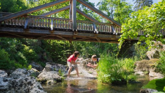 پارک طبیعت جنگلی فرانکونی