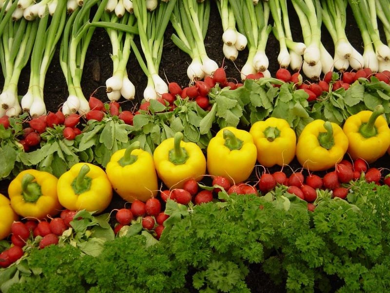صادرات سبزیجات و صیفی جات تازه ایران