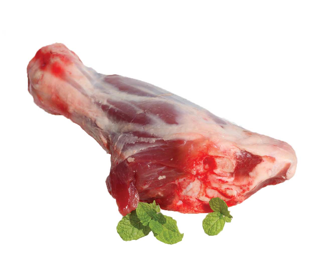 ماهیچه گوسفند