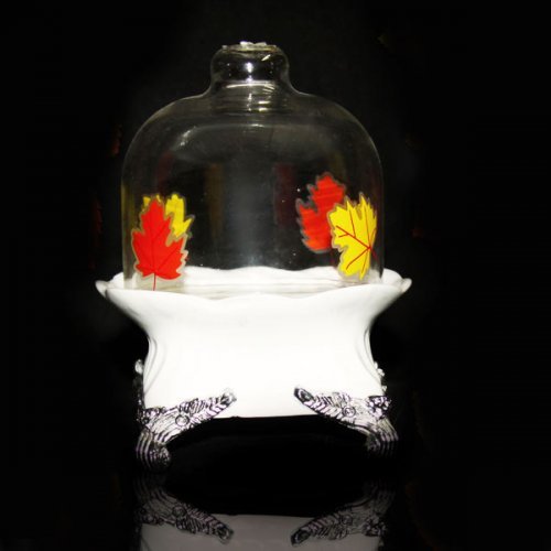 جا کره و پنیر چینی وبلور ستایش