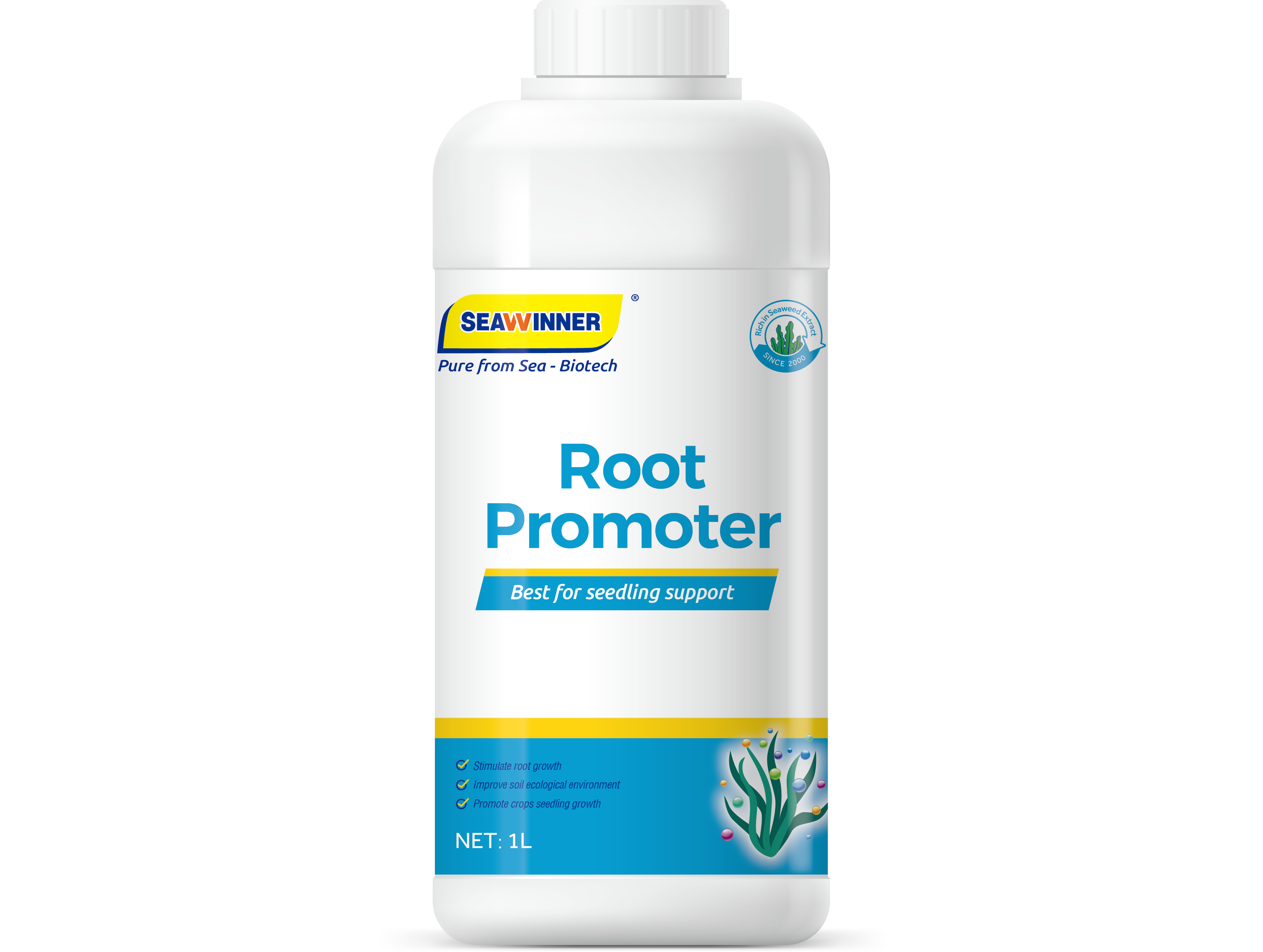 ROOT PROMOTER