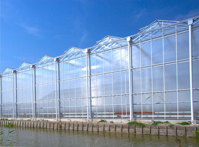 فیلم گلخانه ای