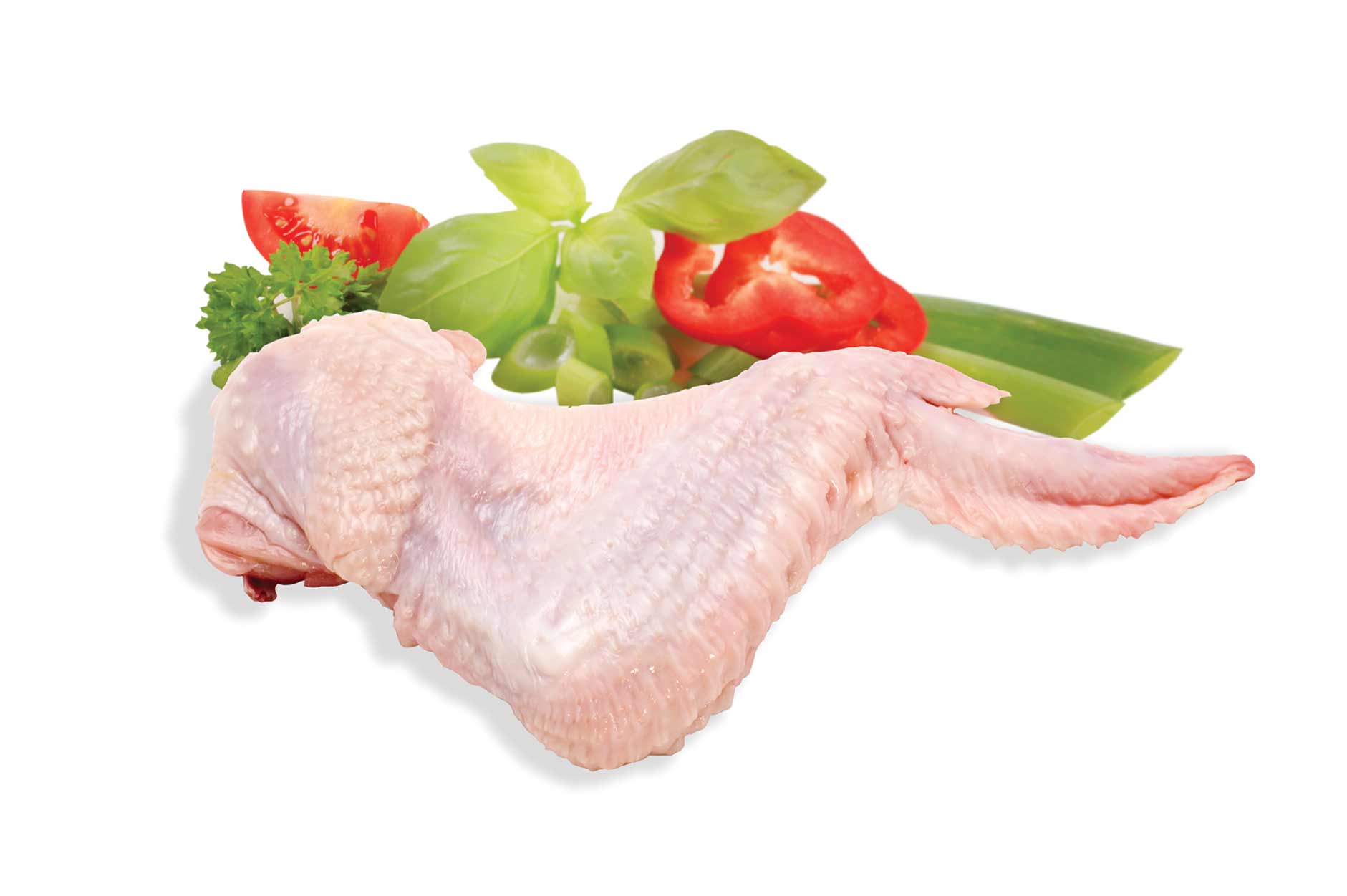 کتف و بال مرغ