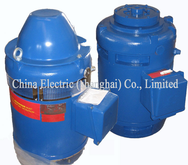 VHS series NEMA Vertical Hollow Shaft Motor