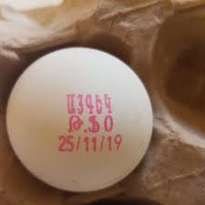 سورتر تخم مرغ