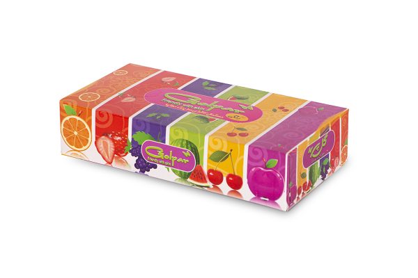 دستمال کاغذی ۱۰۰برگ مولتی کالر