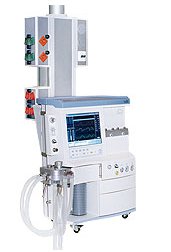 Leon for wall/ceiling