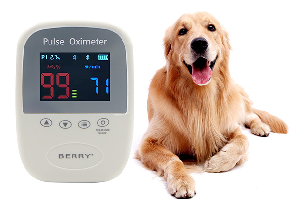 BM1000A-I Veterinary Pulse Oximeter