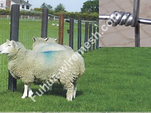 حصار میدانی