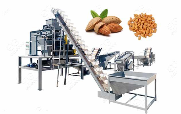 GELGOOG Almond Shelling Processing Line Machinery