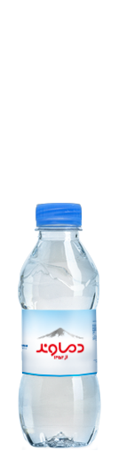 Pocket bottle