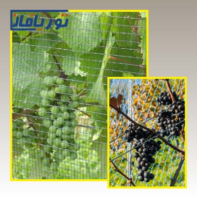 تور ضد پرنده مزارع انگور