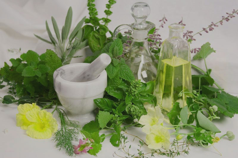 داروهای گیاهی