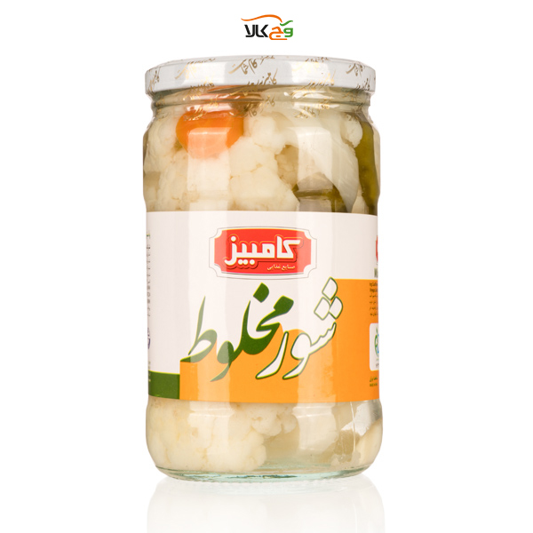 ترشی شور کامبیز