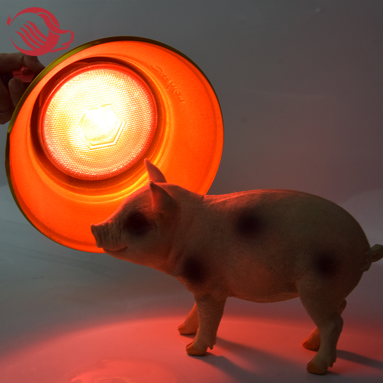 Livestock Pig Farm Golden Color Heating Bulb Lampshade