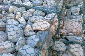 The Stone Cage Nets