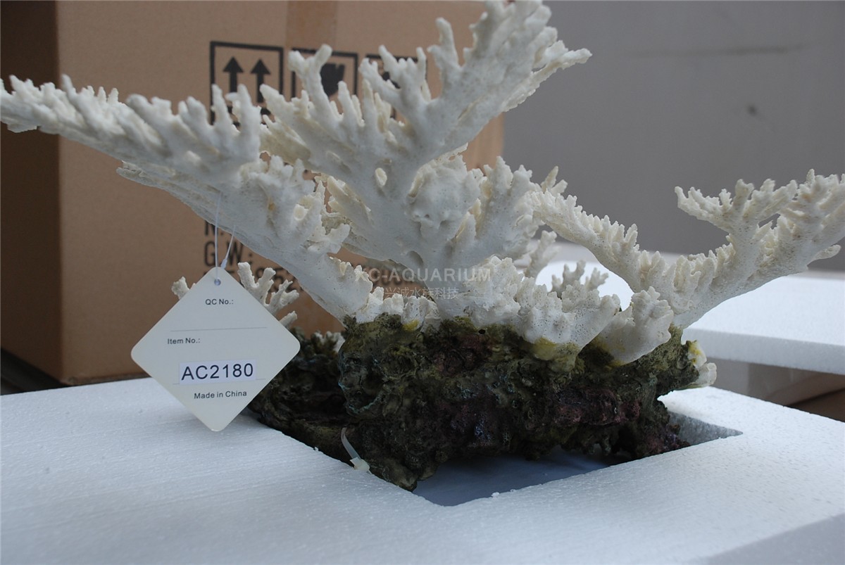 محوطه سازی مرجانی