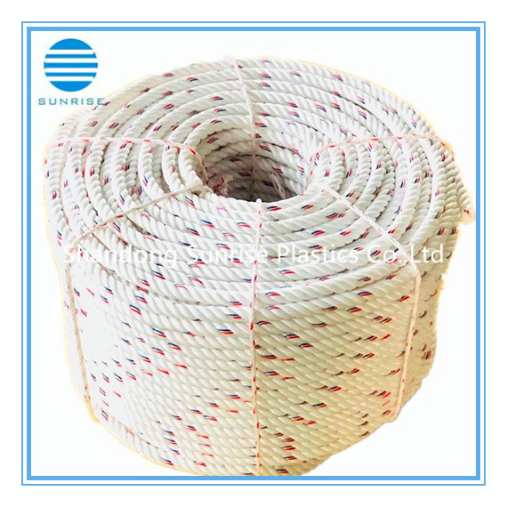 طناب PP Danline/طناب PP/طناب پلاستیکی