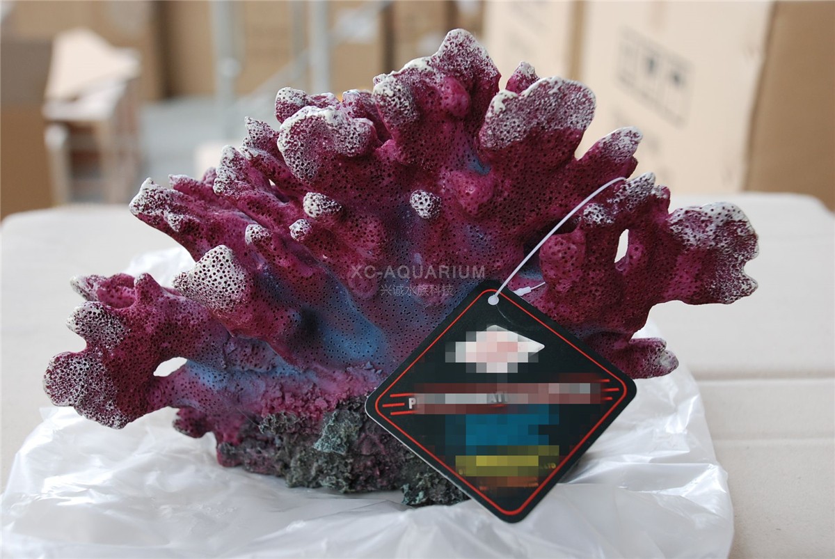 محوطه سازی مرجانی